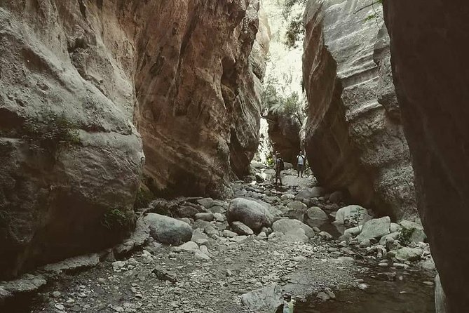 Jeep Safari to Akamas National Park: Avakas Gorge Tour from Paphos - Aphrodite’s Baths and the Edro III shipwreck finish the day strong