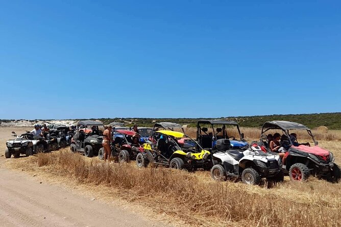 Lara Bay & Adonis Falls Quad & Buggy Tour - Lara Bay Turtle Conservation Station: your second 40-minute swim