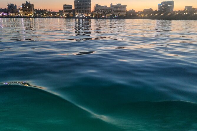 Larnaca Sunset Cruise with Unlimited Beers & Wine - Who this cruise suits best (and who might not love it)
