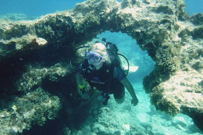 Local Guided Dives (for certified/licensed divers) - Key Highlights You Should Know