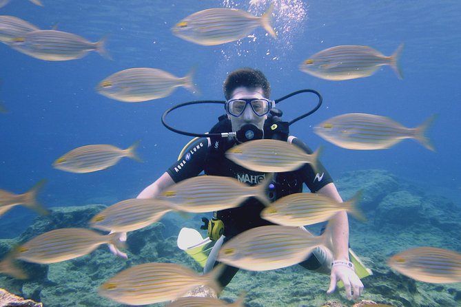 Local Guided Dives (for certified/licensed divers) - Protaras in 3 Hours, With a Guide Keeping It Simple