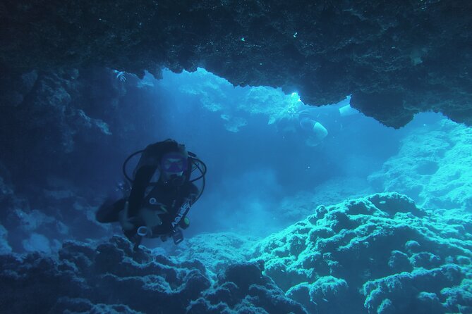 Local Guided Dives (for certified/licensed divers) - How Transfers and Timekeeping Shape the Experience