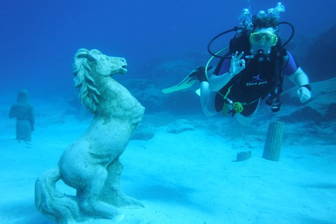Local Guided Dives (for certified/licensed divers) - What Happens Before You Enter the Water