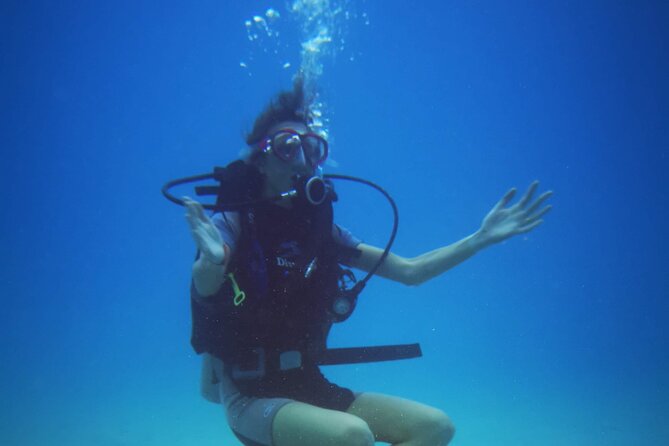 Local Guided Dives (for certified/licensed divers) - After You Surface: Refreshments, Log Books, and Photo Viewing