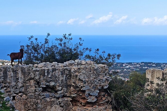 Nature Walking tour in the Mediterranean Cyprus-6days - Walking Cyprus east and west of Kyrenia in 6 days