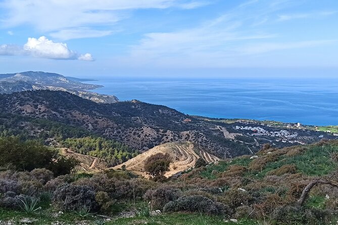 Nature Walking tour in the Mediterranean Cyprus-6days - Day 4 east of Kyrenia Bellapais day: Abbey, Lawrence Durrell, and the Tree of Idleness