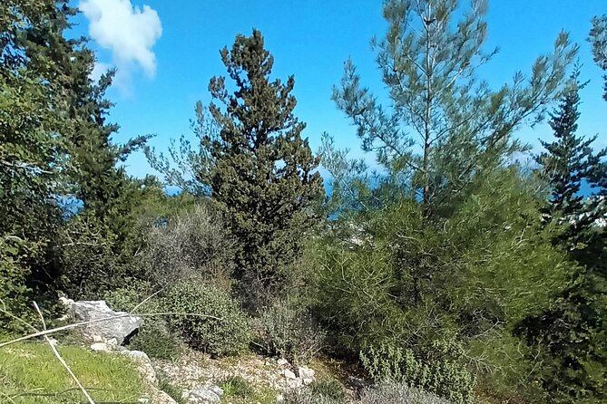 Nature Walking tour in the Mediterranean Cyprus-6days - Day 6 back near Karmi: the final walk that ties the week together