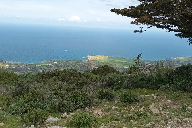 Nature Walking tour in the Mediterranean Cyprus-6days - Price and value: what $227 buys you in real-world comfort