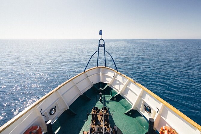 Odyssey Boat Safari from Larnaca - End at Golden Coast Protaras, Then Bus Back