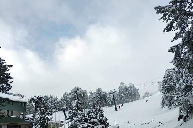 Omodos and Winiary tour, let's feel winter in Cyprus Mountain. - A half-day that feels small-group, not sightseeing factory
