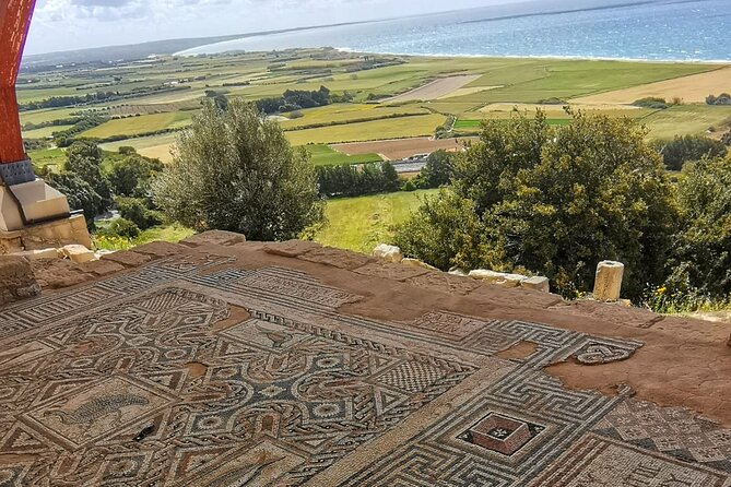 Pafos - Archaeology & Beauty tour from Limassol - Paphos Harbour and Port: free time that can make or break your day
