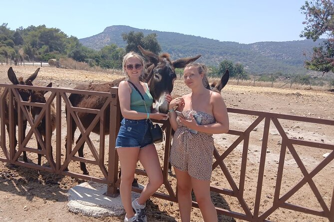 Paphos: Akamas Gorge & Turtle Bay & Donkey Farm Jeep Safari Tour - Key highlights in plain terms