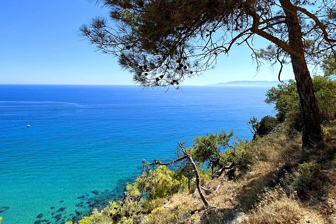 Paphos: Akamas Gorge & Turtle Bay & Donkey Farm Jeep Safari Tour - St. George’s Church Stop: Short Cultural Pause