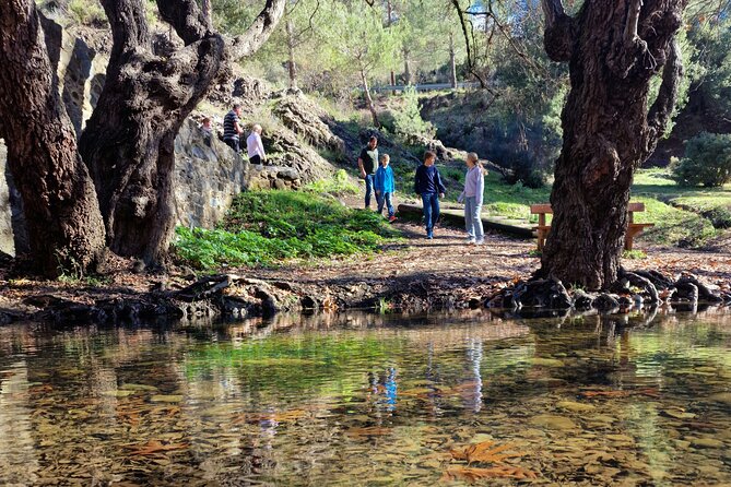 Paphos - Troodos Mountains: To the highest peaks. - Key points to know before you go