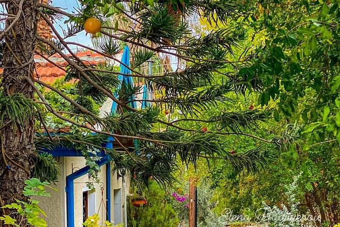 Perfect Day Trip to Beautiful Lefkara tour from Limassol. - Terra Oliva Organic Olive Farm: Where Gifts Make Sense