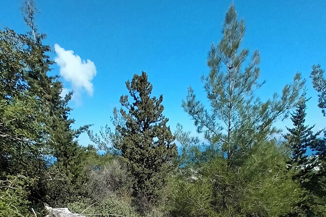 Private Day Walk in the Nature Near Kyrenia, Cyprus - The Kyrenia to Bellapais combo that actually feels like a day out
