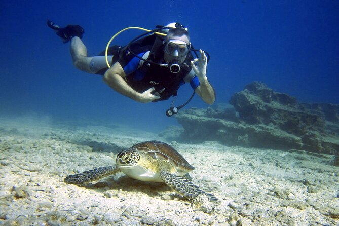 Private Discovery Dive + Photos & Videos - Key things that make this session worth it