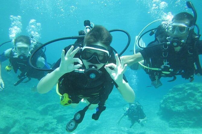 Private Discovery Dive + Photos & Videos - What you learn before you go in: equipment and breathing basics