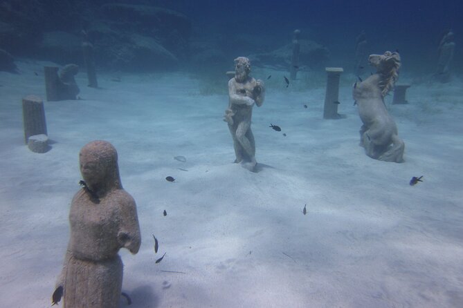 Private Discovery Dive + Photos & Videos - Photos and videos: the souvenir side of scuba for beginners