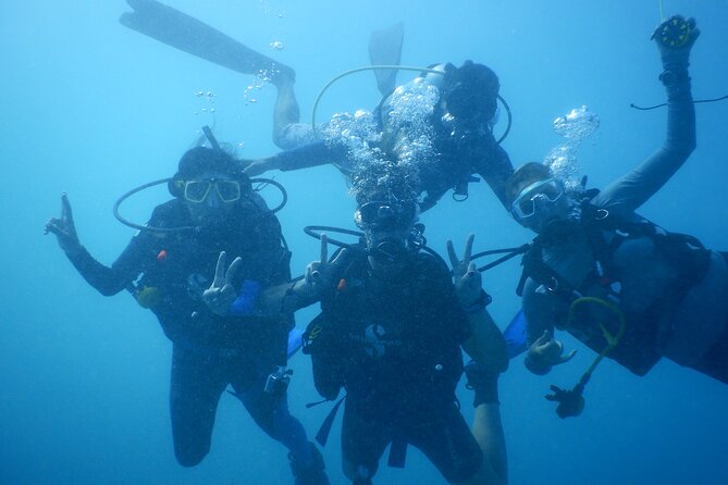 Private Discovery Scuba Diving with Sea Turtles - Price and Logistics: What $102.35 Buys in Protaras
