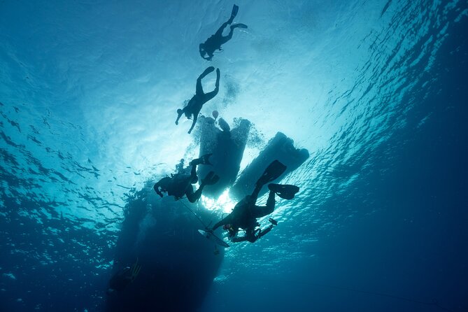 Private Discovery Scuba Diving with Sea Turtles - Turtle Spotting: How to Think About the Odds