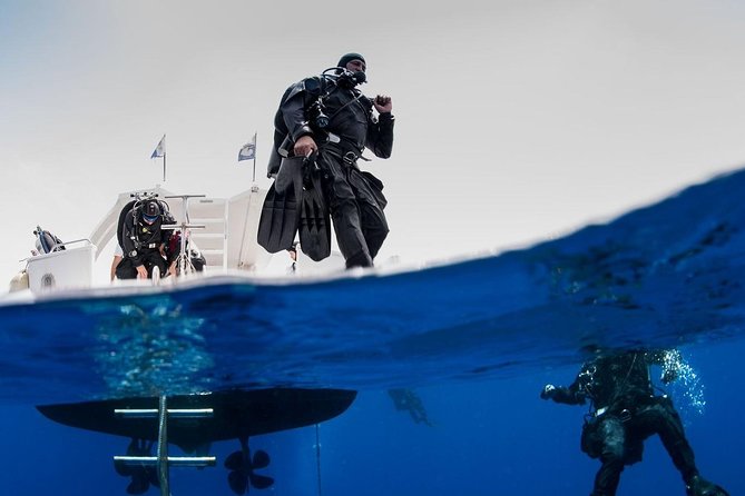 Private Diving at Zenobia Wreck in Larnaka - Key highlights if you love wrecks and simple logistics