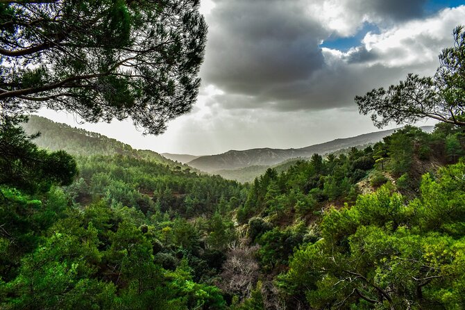 Private Full-Day Tour to Cyprus Monasteries - A Private Troodos Circuit That Actually Feels Like One Day