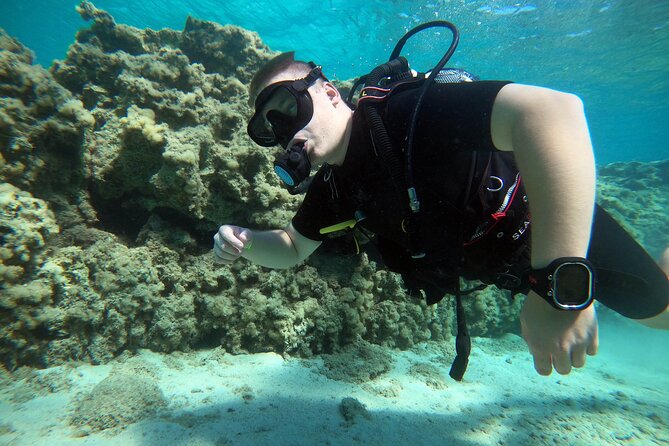 Private Scuba Diving Experience in Cyprus - The 3-hour flow: what happens before you go underwater