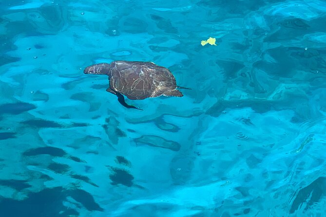 Protaras: St Georgios Presidential Cruise BBQ & 1 drink. 16+ - Snorkel time that feels easy, not technical