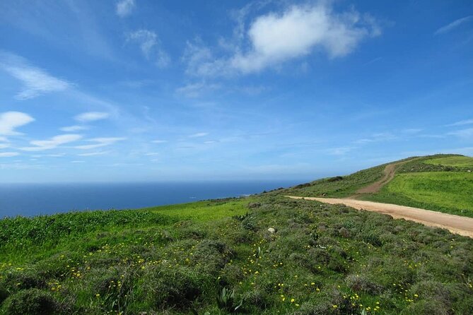 Quad or Buggy Tour from Coral Bay to Adonis Baths - Before You Go: Driver License, Helmet Timing, and the Dust Kit