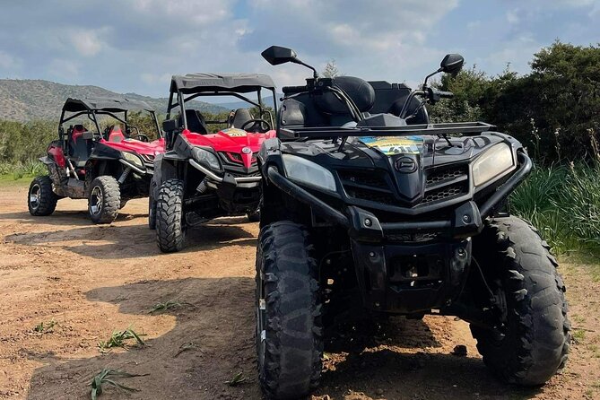 Quad or Buggy Tour from Coral Bay to Lara Bay - Stop-by-stop: the Akamas Peninsula route that keeps switching gears
