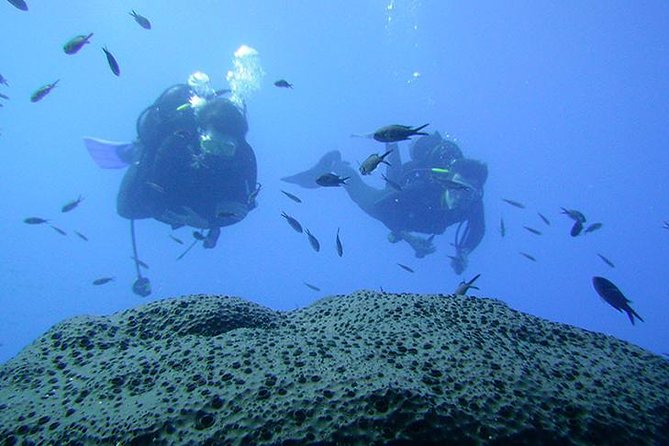 Scuba Diver Course - Day 2 Off the Akamas Peninsula: Two Open-Water Sessions to 12 Meters