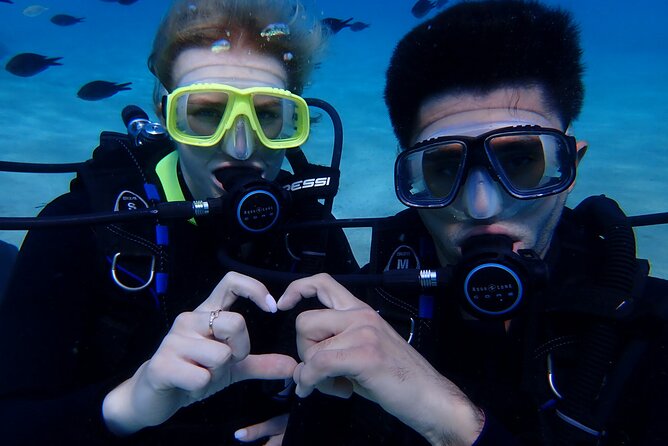 Scuba Diving Activity in Pernera - Scuba gear, refreshments, and the photo preview on TV