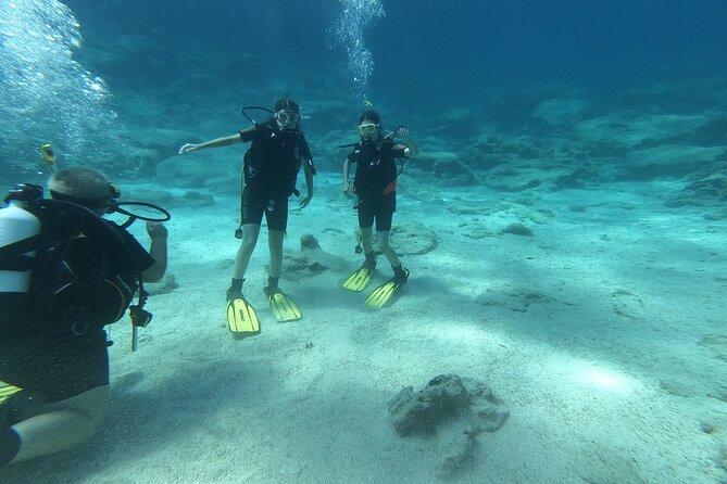 Scuba Diving Cyprus Experience Protaras and Ayia Napa & Turtles - Key points before you go
