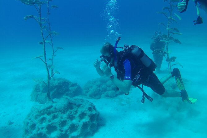 Scuba Diving Cyprus Experience Protaras and Ayia Napa & Turtles - H2 Heading: Your instructor, group size, and the small reality of seeing everything
