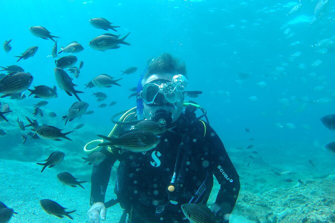 Scuba Diving Cyprus Experience Protaras and Ayia Napa & Turtles - H2 Heading: The Protaras school briefing, where you learn the signals first