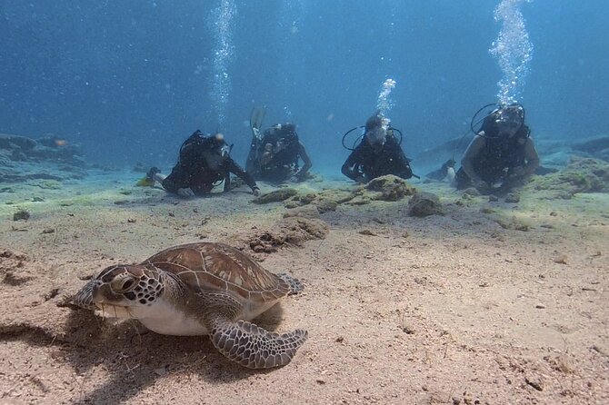 Scuba Diving Experience (10+ Years) AND Free Edited Video - The 3-hour flow: what you do from start to finish