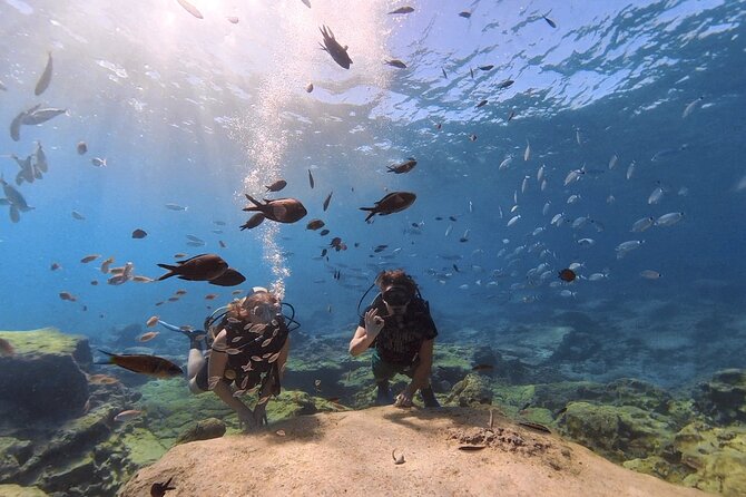 Scuba Diving Experience (10+ Years) AND Free Edited Video - Your instructors and what the reviews say you will feel