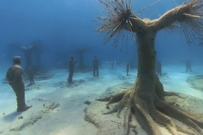 Scuba Diving Experience & MUSAN Dive + Free Edited Video 2xdives - Key highlights to know before you go