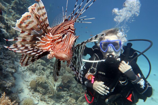 Scuba Diving Experience & MUSAN Dive + Free Edited Video 2xdives - Price and value for a 5 hour 30 minute Protaras plan