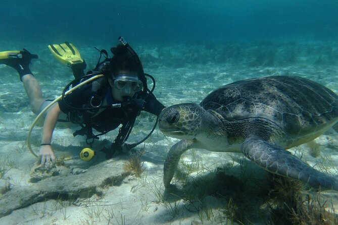 SCUBA DIVING first time experience - Key highlights worth choosing this course for