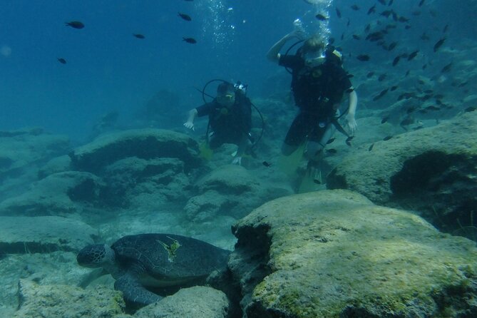 SCUBA DIVING first time experience - Price and Value: What $90.74 Buys You in a First-Time Course