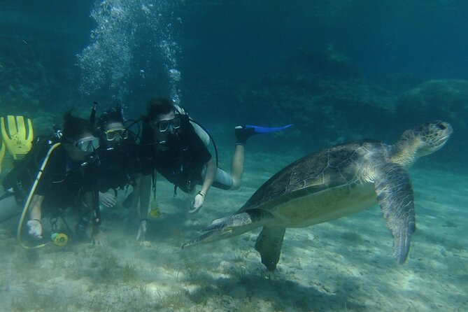 SCUBA DIVING first time experience - The 3-Part Program: Theory, Shallow Skills, Then a Gradual Underwater Descent