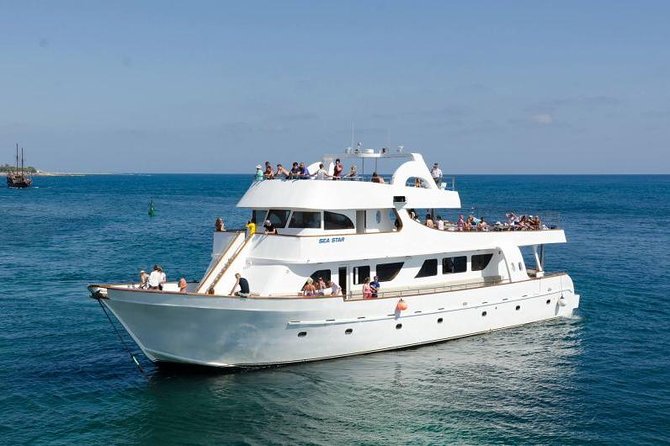 Sea Star Coral Express Cruise from Paphos - Key highlights I would plan around
