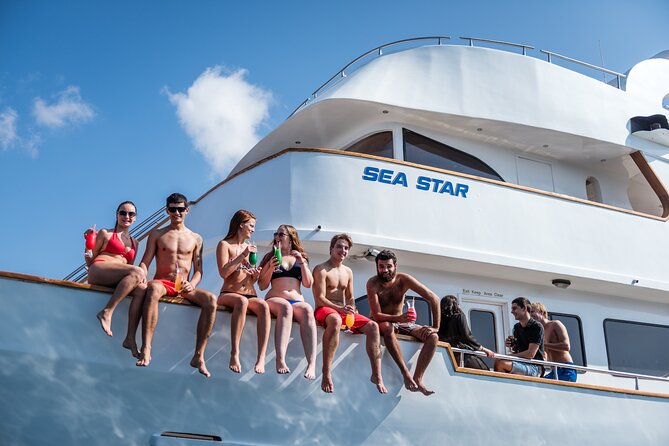 Sea Star | Half Day Cruise - Key highlights you should know before you go