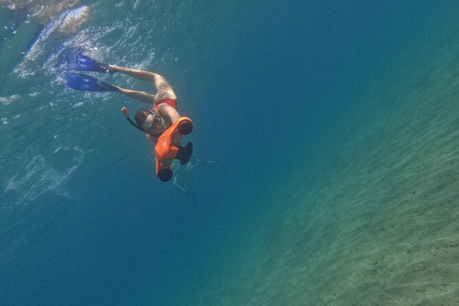 snorkeling ,Turtle Watching in Cyprus - How turtle watching works, responsibly and up close