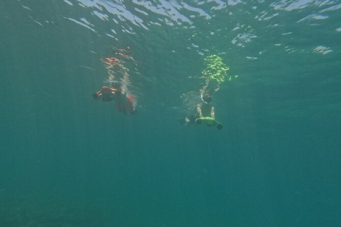 snorkeling ,Turtle Watching in Cyprus - Time in the water, photos, and the little extras that matter