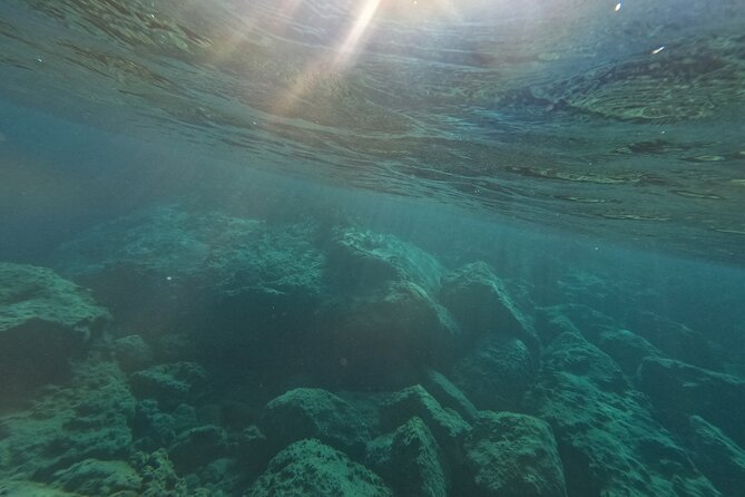 snorkeling ,Turtle Watching in Cyprus - Who this turtle watching tour is best for