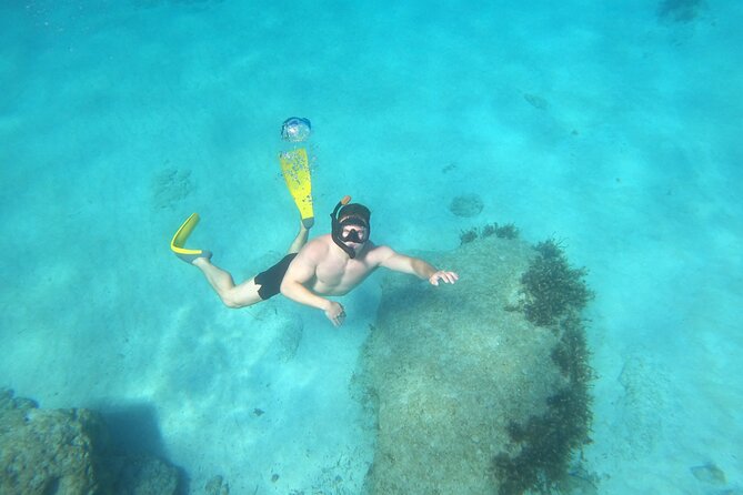 snorkeling ,Turtle Watching in Cyprus - Safety briefing and snorkeling gear that actually fits the day