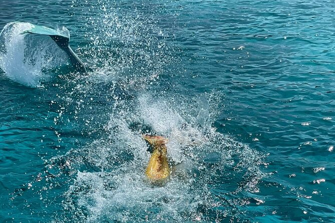The Mermaid Cruise by Medusa Cruises – 2:30-Hour Family Adventure - Konnos Bay and the in-between calm